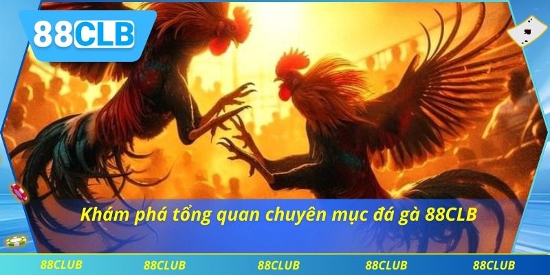 Đá Gà 88CLB 1 Khám phá tổng quan chuyên mục đá gà 88CLB