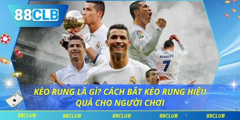 Kèo Rung Là Gì? Cách Bắt Kèo Rung Hiệu Quả Cho Người Chơi 1 Kèo Rung Là Gì? Cách Bắt Kèo Rung Hiệu Quả Cho Người Chơi